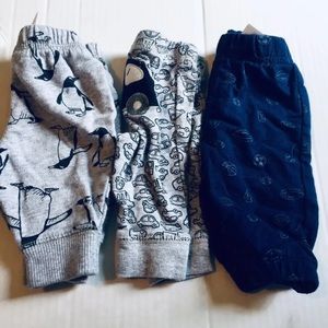 3 Baby Pants